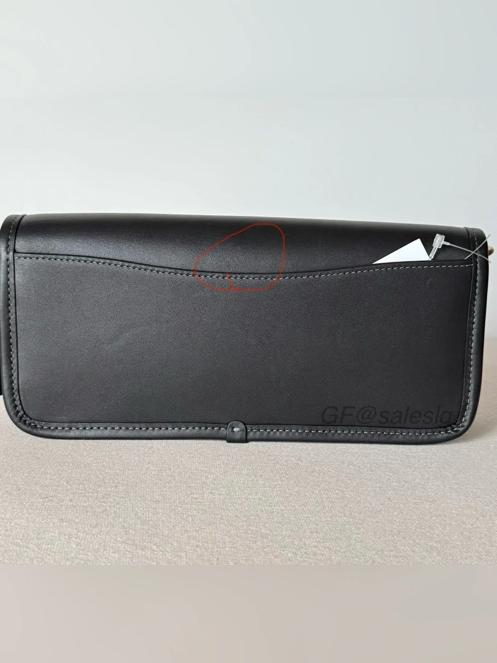 Coach classic dinky